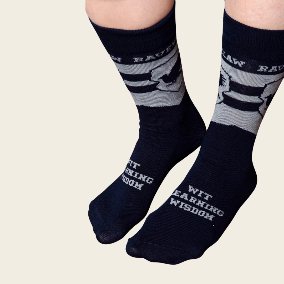 Harry Potter Calcetines Quidditch Ravenclaw